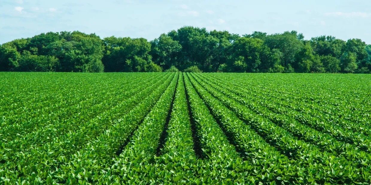 Agriculture